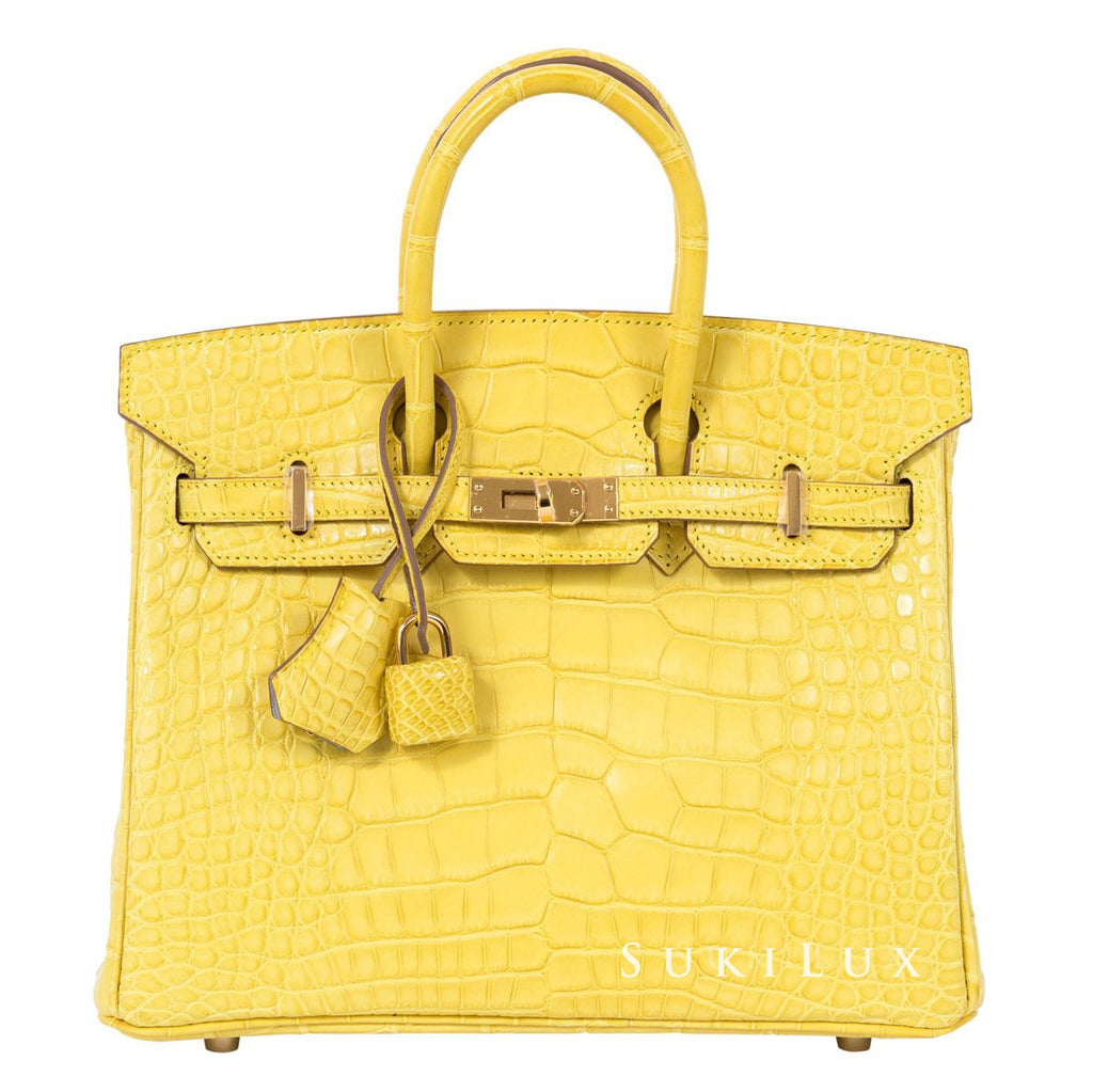 Hermès Birkin 25cm Crocodile Shiny Nilo 9M Sanguine Gold Hardware – SukiLux