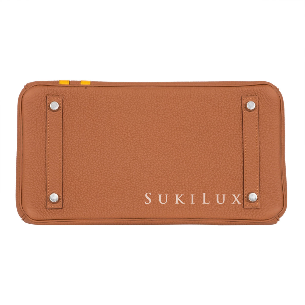 Hermès Birkin 25cm Veau Togo 9D Jaune Ambre Gold Hardware – SukiLux